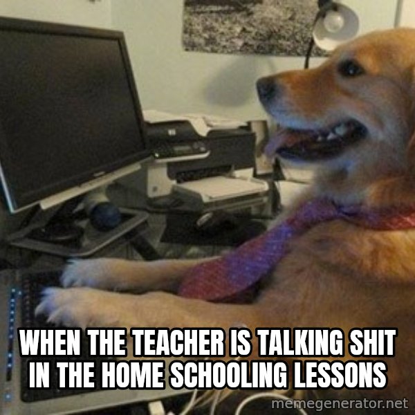 I have no idea what I'm doing - Dog with Tie meme: When the teacher is talking shit in the home schooling lessons