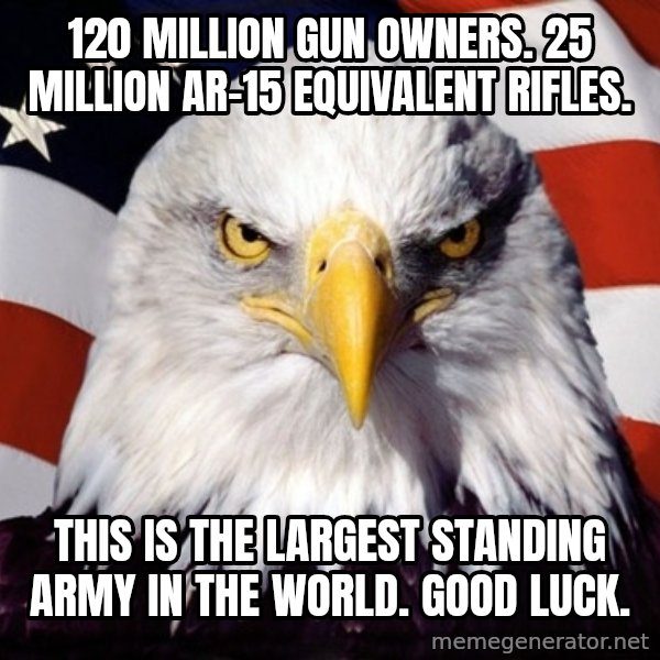 American Pride Eagle meme: 120 million gun owners.                  25 million AR-15 equivalent rifles. / This is the largest standing army in the world.                                Good luck.