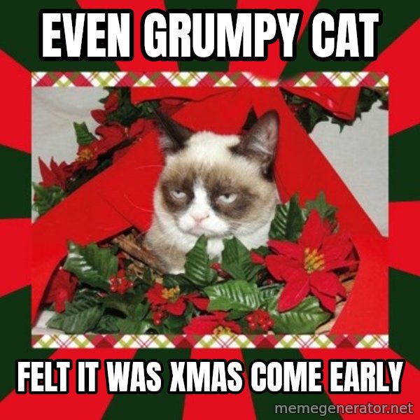 GRUMPY CAT ON CHRISTMAS meme: Even Grumpy Cat / Felt it was Xmas come early