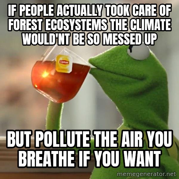Kermit The Frog Drinking Tea meme: If people actually took care of forest ecosystems the climate would'nt be so messed up / But pollute the air you breathe if you want