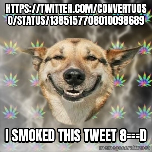 Stoner Dog meme: https://twitter.com/Convertuoso/status/1385157708010098689 / I smoked this Tweet 8===D