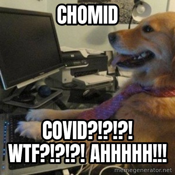 I have no idea what I'm doing - Dog with Tie meme: Chomid / COVID?!?!?! WTF?!?!?! Ahhhhh!!!