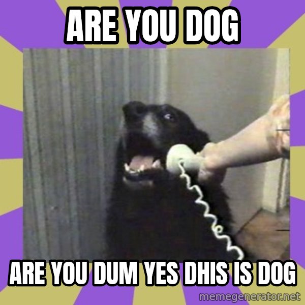 Yes, this is dog! meme: are you dog / are you dum yes dhis is dog