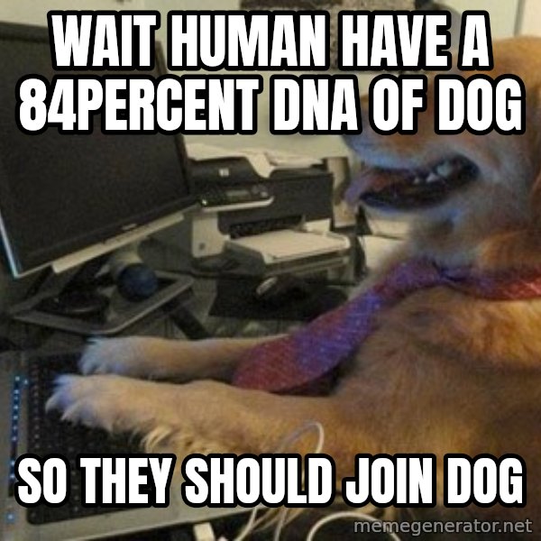 I have no idea what I'm doing - Dog with Tie meme: Wait human have a 84percent dna of dog / So they should join dog