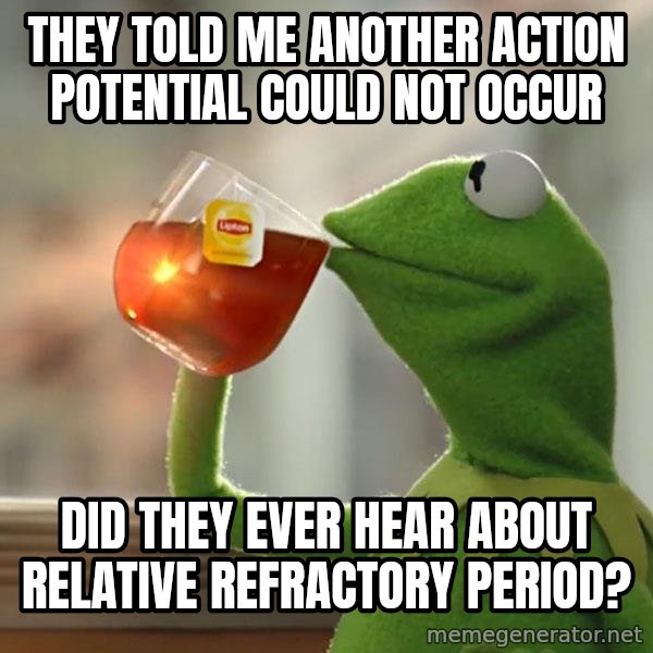 Kermit The Frog Drinking Tea meme: they told me another action potential could not occur / did they ever hear about relative refractory period?