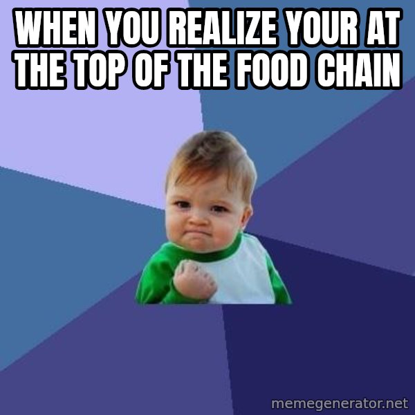 Success Kid meme: When you realize your at the top of the food chain
