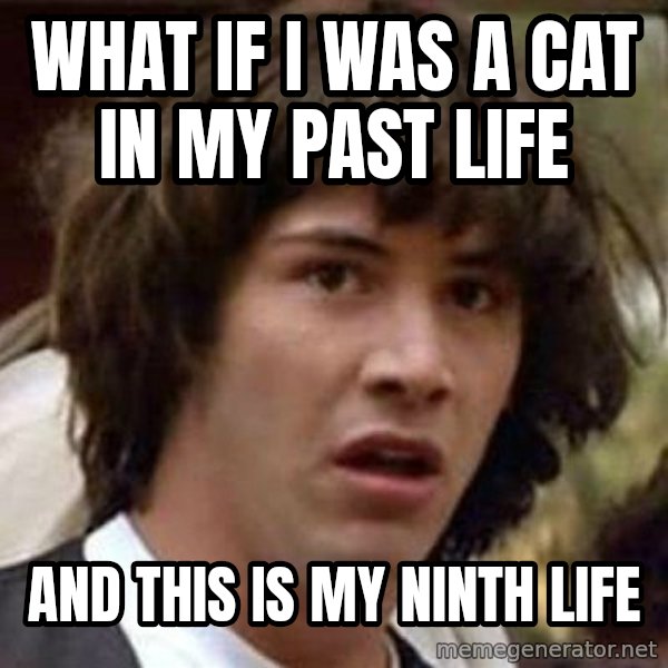 Conspiracy Keanu meme: what if I was a cat in my past life / and this is my ninth life