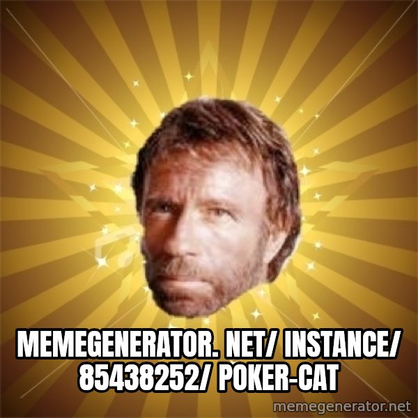 Chuck Norris Advice meme: memegenerator. net/ instance/ 85438252/ poker-cat