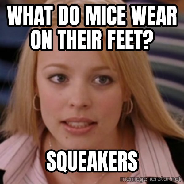 mean girls meme: What do mice wear on their feet? / Squeakers
