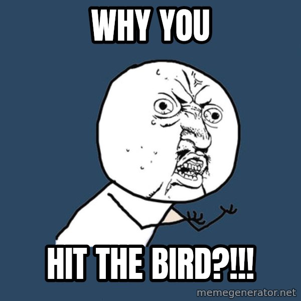 Y U No meme: why you / hit the bird?!!!