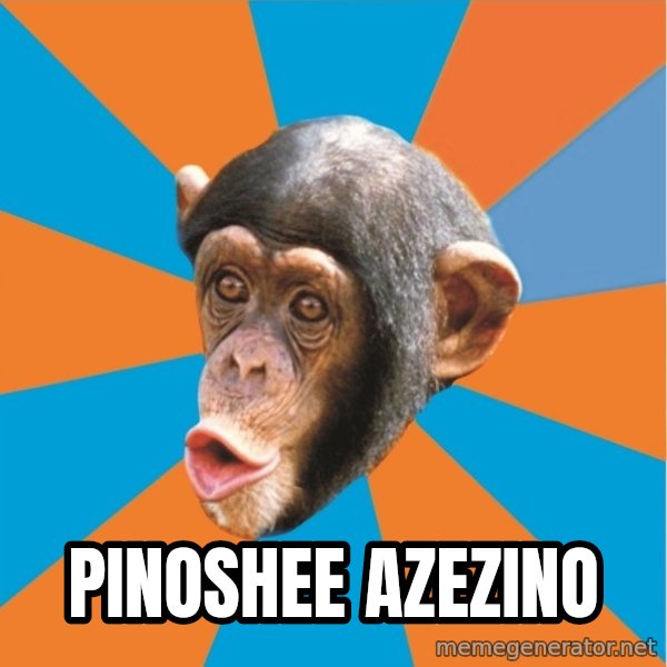 Stupid Monkey meme: pinoshee azezino