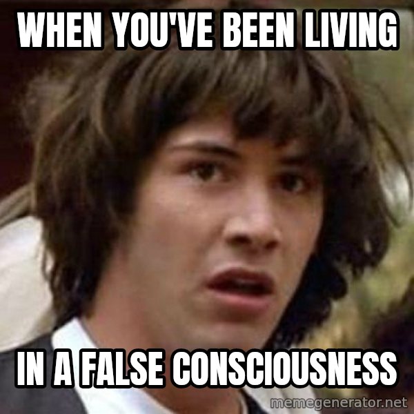 Conspiracy Keanu meme: When you've been living / in a false consciousness