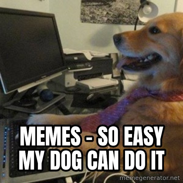 I have no idea what I'm doing - Dog with Tie meme: memes - so easy my dog can do it