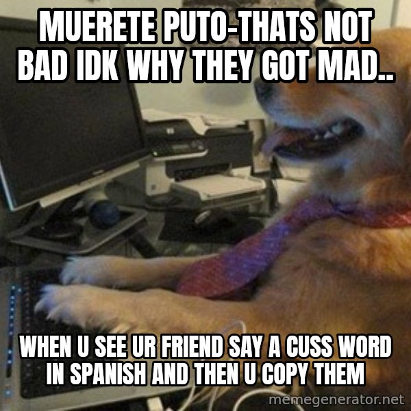 I have no idea what I'm doing - Dog with Tie meme: muerete puto-thats not bad idk why they got mad.. / when u see ur friend say a cuss word in spanish and then u copy them