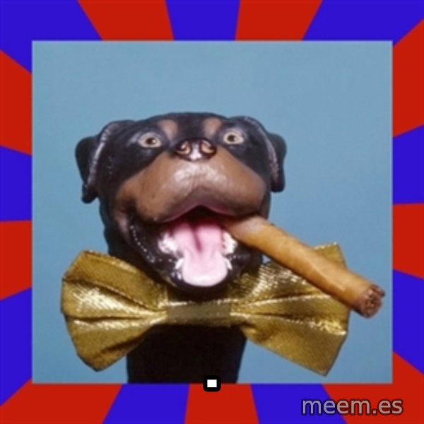 Triumph the Insult Comic Dog meme: .