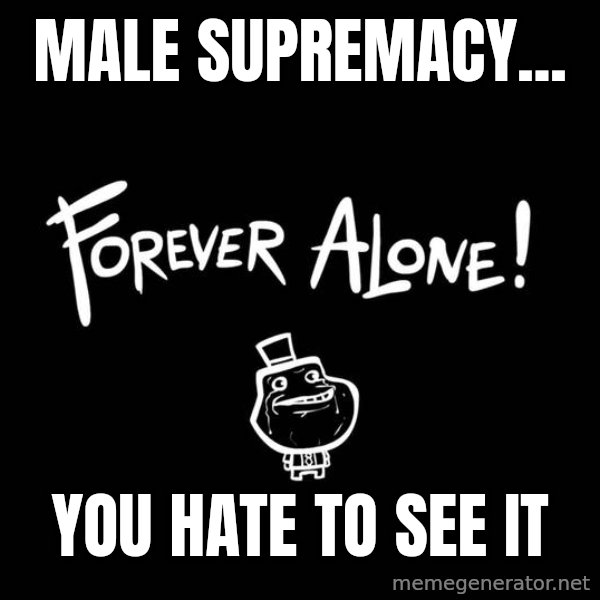 The Most Interesting Man In The World meme: male supremacy... / you hate to see it