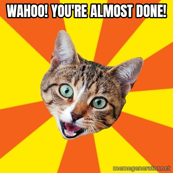 Bad Advice Cat meme: Wahoo! You're almost done!