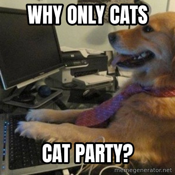 I have no idea what I'm doing - Dog with Tie meme: Why only cats / Cat party?