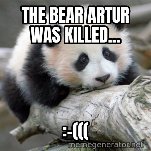 sad panda meme: The bear Artur was killed... / :-(((
