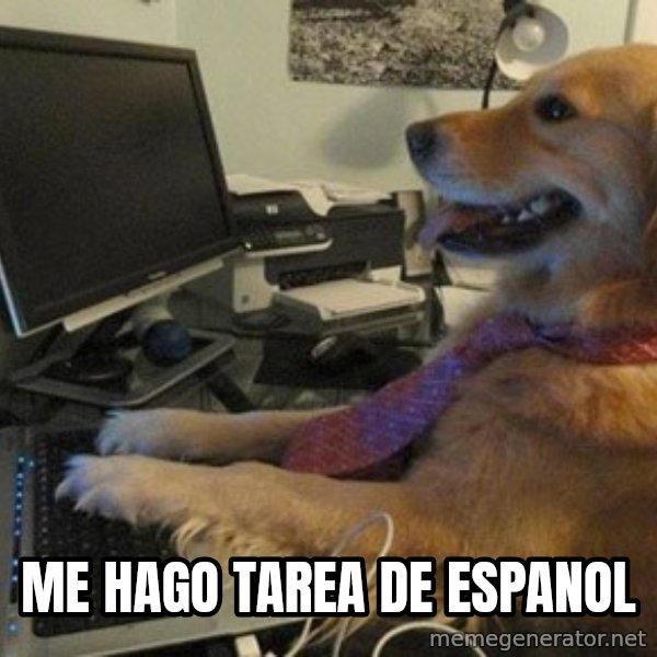 I have no idea what I'm doing - Dog with Tie meme: Me hago tarea de espanol
