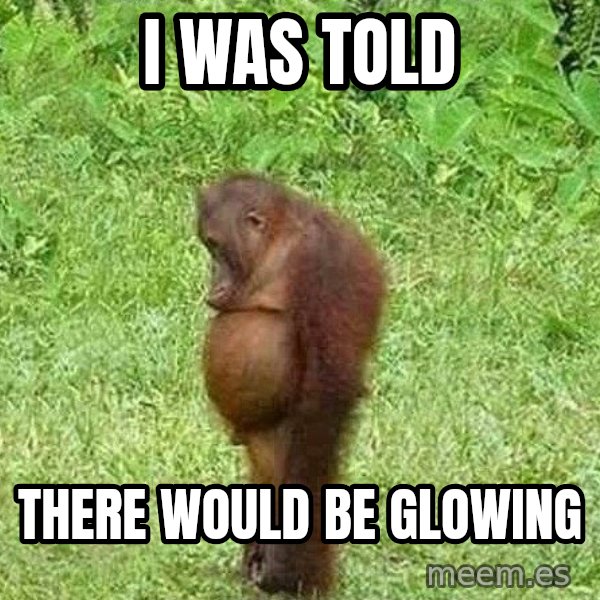 Orangutan Stan meme: I was told / There would be glowing
