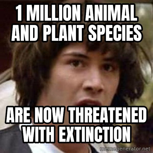Conspiracy Keanu meme: 1 million animal and plant species / are now threatened with extinction