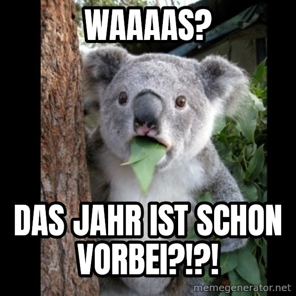 Koala can't believe it meme: Waaaas? / Das Jahr ist schon vorbei?!?!
