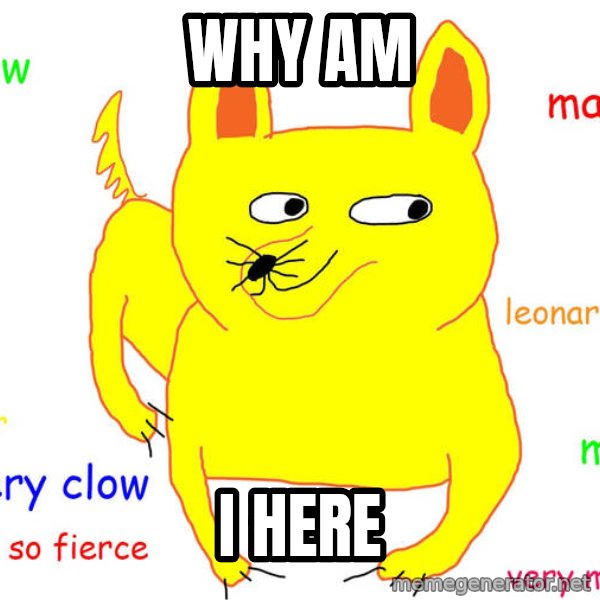 Grumpy Cat  meme: Why Am / I Here