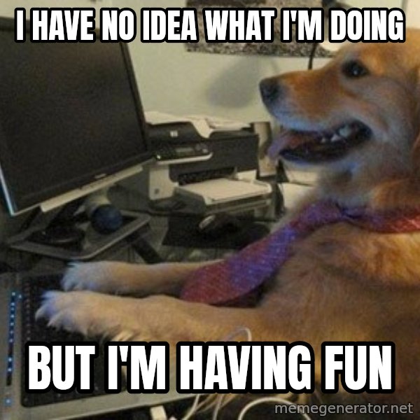 I have no idea what I'm doing - Dog with Tie meme: i have no idea what i'm doing / but i'm having fun