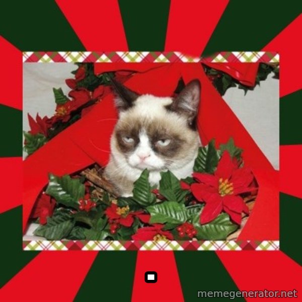 GRUMPY CAT ON CHRISTMAS meme: .