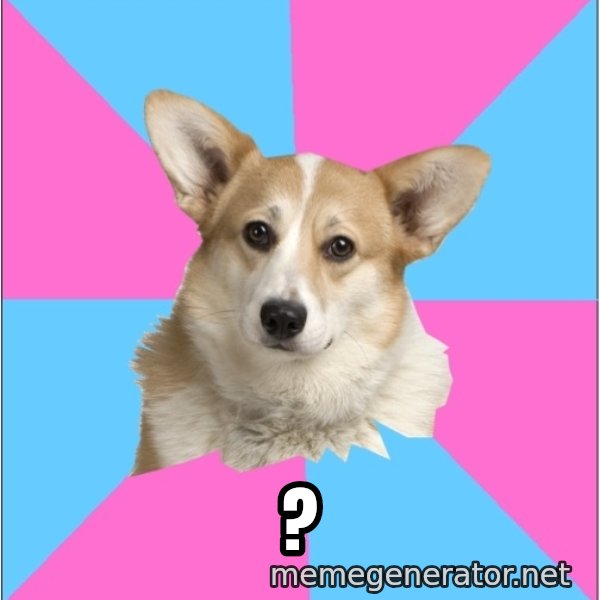 Critical Feminist Corgi meme: ?