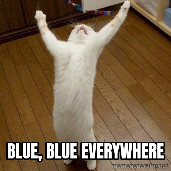 praise the lord cat meme: blue, blue everywhere