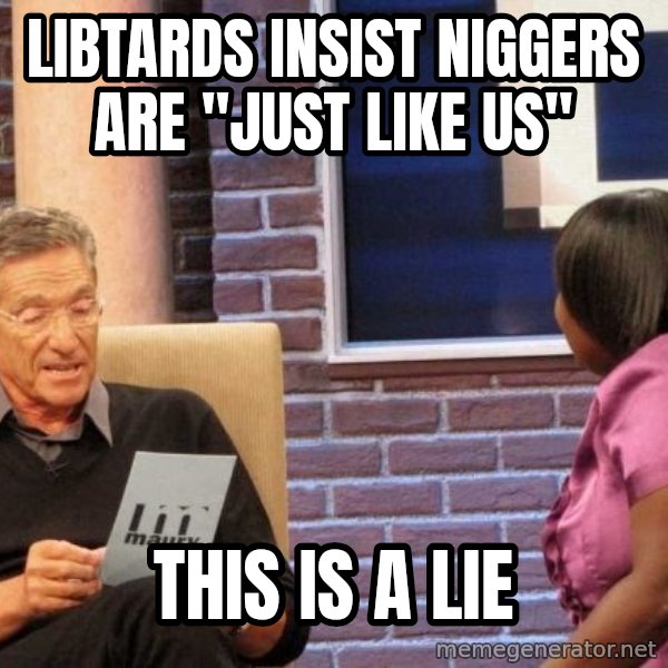 Maury Lie Detector meme: libtards insist niggers are "just like us" / this is a lie