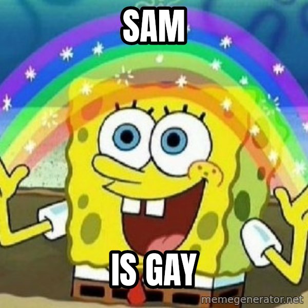 See? Nobody Cares meme: Sam / is gay