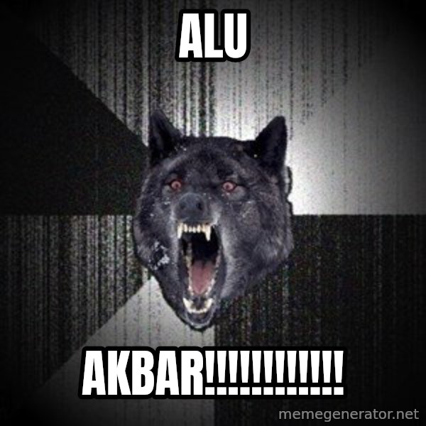 Insanity Wolf meme: alu / akbar!!!!!!!!!!!!