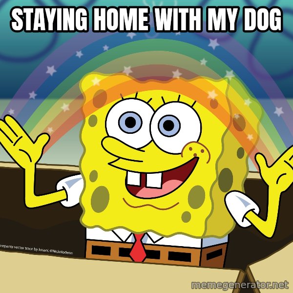 spongebob rainbow meme: Staying home with my dog