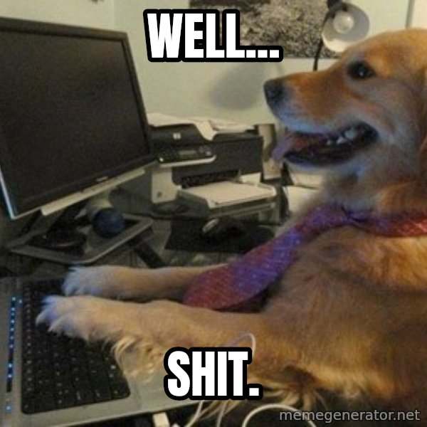 I have no idea what I'm doing - Dog with Tie meme: Well... / shit.