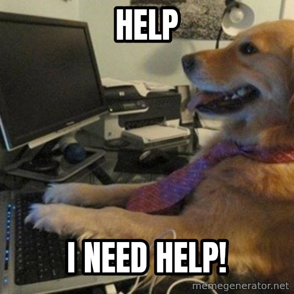 I have no idea what I'm doing - Dog with Tie meme: Help / I need help!