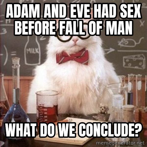 Chemistry Cat meme: Adam and Eve had sex before fall of man / what do we conclude?