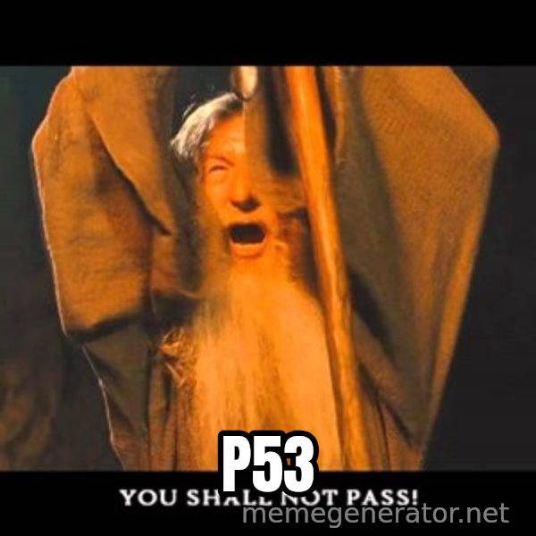 You Shall Not Pass Gandalf With Bottom Text meme: p53