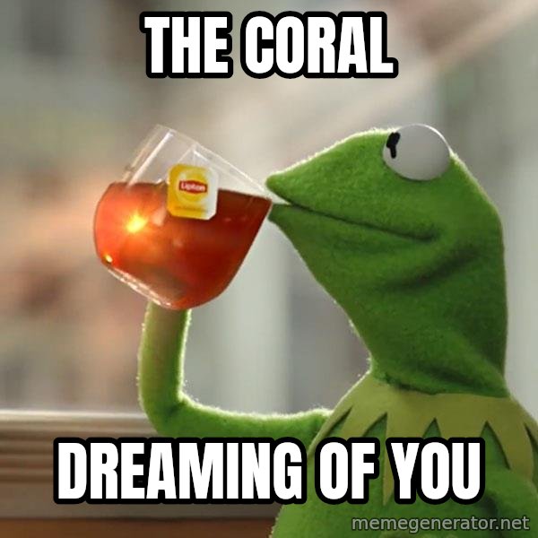 Kermit The Frog Drinking Tea meme: The Coral / Dreaming of You