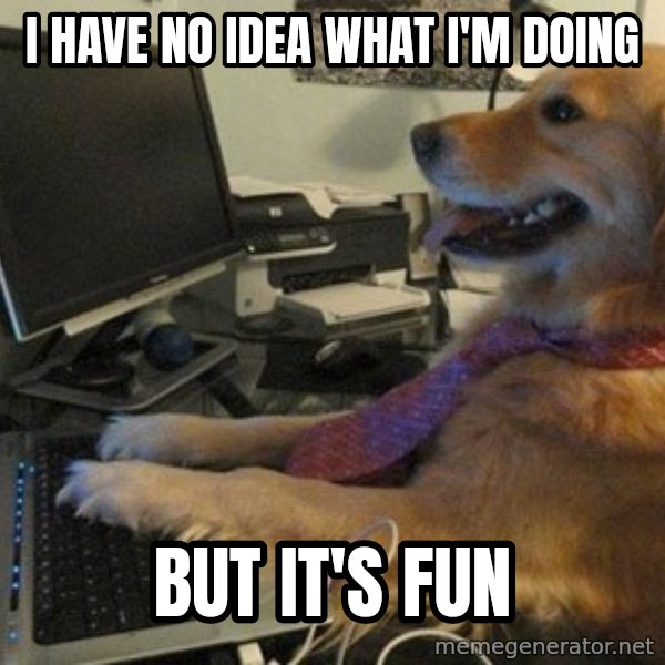 I have no idea what I'm doing - Dog with Tie meme: I HAVE NO IDEA WHAT I'M DOING / BUT IT'S FUN