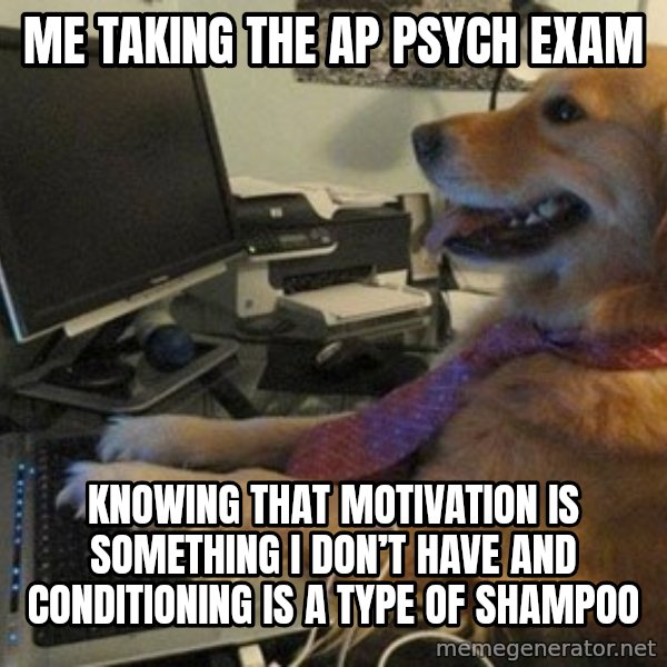 I have no idea what I'm doing - Dog with Tie meme: Me taking the AP Psych Exam / Knowing that motivation is something I don’t have and conditioning is a type of shampoo