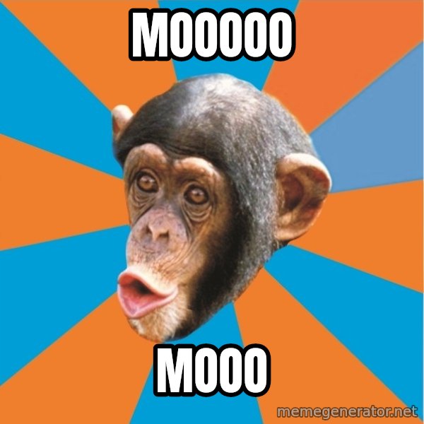 Stupid Monkey meme: mooooo / mooo