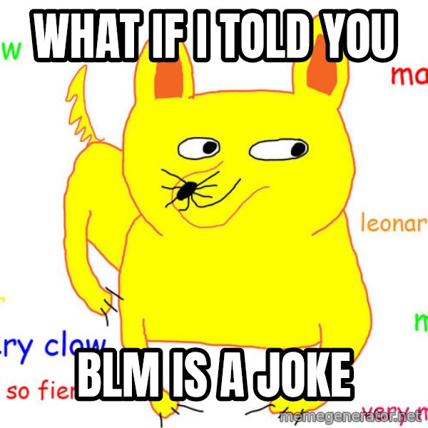 What If I Told You meme: what if i told you / Blm is a joke