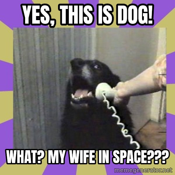 Yes, this is dog! meme: Yes, this is dog! / WHAT? My wife in space???