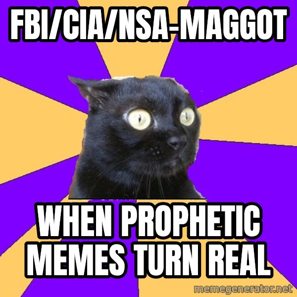Anxiety Cat meme: FBI/CIA/NSA-Maggot / when prophetic memes turn real