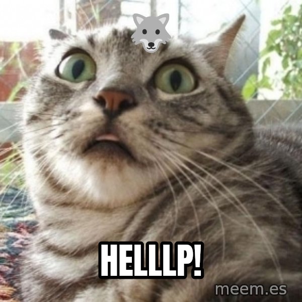 scared cat meme: 🐺 / Helllp!