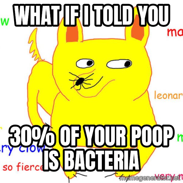 What If I Told You meme: What if i told you / 30% of your poop is bacteria