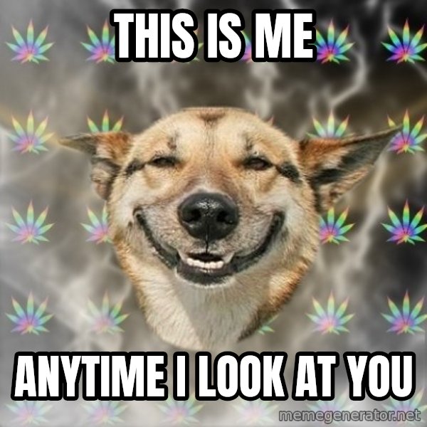 Stoner Dog meme: This is me / Anytime i look at you